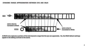 EYEvsDSLR_DR01.jpg EYEvsDSLR_DR01.jpg