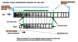 EYEvsDSLR_DR02.jpg EYEvsDSLR_DR02.jpg