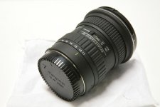 img7853ty7.jpg