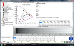 dp6 post color.jpg