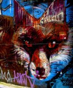 Wolf.jpg