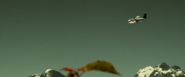 plane2.jpg