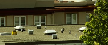rooftop.jpg