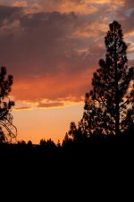 IMG_6744.jpg