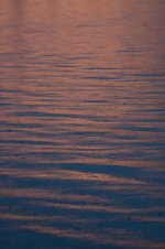 IMG_6799.jpg