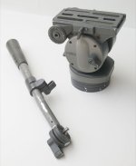 9FCV0591.jpg