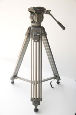 9FCV0587.jpg