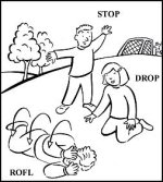 rofl.jpg