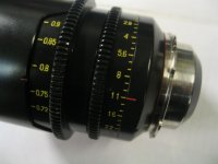 F = 50 body scales.JPG
