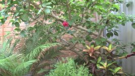 Image3.jpg