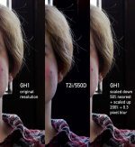 GH1-550Dscale01.jpg