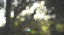 Sensor_Reflection.jpg
