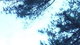 af1002.jpg af1002.jpg