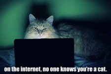on-the-internet.jpg on-the-internet.jpg