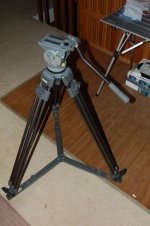 DSC_0312.jpg