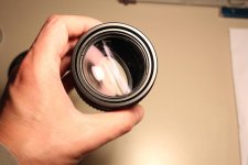 IMG_4037.jpg