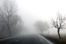 freezingfog.jpg freezingfog.jpg