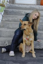 17dogsitter.jpg