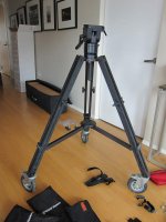 Kessler-Crane-Herules-head-0.jpg