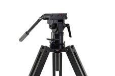 Kessler-Crane-Herules-head-1.jpg