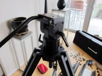 Kessler-Crane-Herules-head-2.jpg