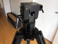 Kessler-Crane-Herules-head-3.jpg
