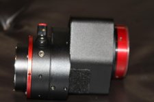IMG_9528.jpg