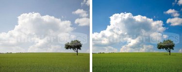 uglyvsprettysky.jpg uglyvsprettysky.jpg