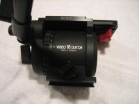 IMG_1021.jpg