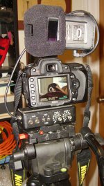 d90_setup_01.jpg