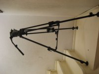cartoni focus 102.JPG