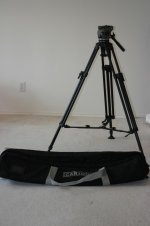 Cartonibag.jpg