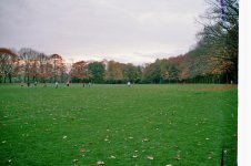 imm036_37.jpg
