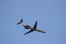 IMG_8432.jpg