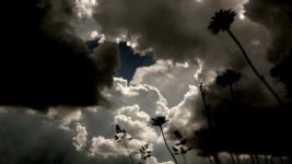 vlcsnap-2011-05-23-08h57m52s90.jpg vlcsnap-2011-05-23-08h57m52s90.jpg
