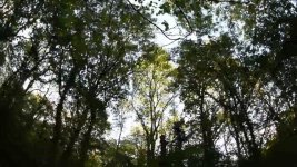 vlcsnap-2011-10-08-01h25m02s2.jpg