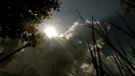 vlcsnap-2011-05-24-10h55m45s247.jpg vlcsnap-2011-05-24-10h55m45s247.jpg