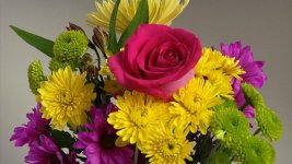 HVX200AFlowers.jpg HVX200AFlowers.jpg