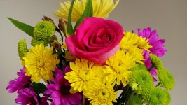 HPX250Flowers.jpg HPX250Flowers.jpg