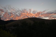DSC_0458.jpg