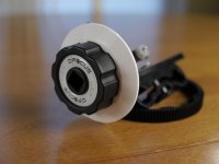 D Focus Resized 3.jpg