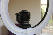 IMG_0693.jpg
