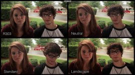 R303_Neu_Sta_LanSca.jpg R303_Neu_Sta_LanSca.jpg