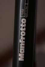 T001b_Legs Close on Model No.jpg