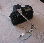 IMG_2419.jpg