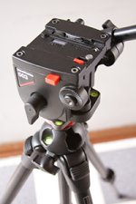 T003 503 on legs angular.jpg