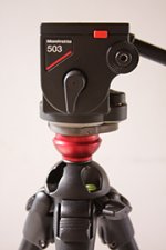 T004_503 on legs closer view.jpg