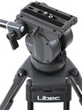 LS-38-2A_head.jpg