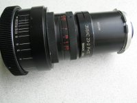 Anam F = 75 body.jpg
