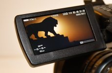 LCD Scrn.CU.jpg
